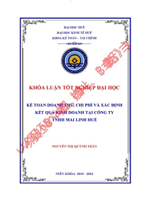 Kế toán doanh thu chi phí và xác định kết quả kinh doanh tại công ty tnhh mai linh