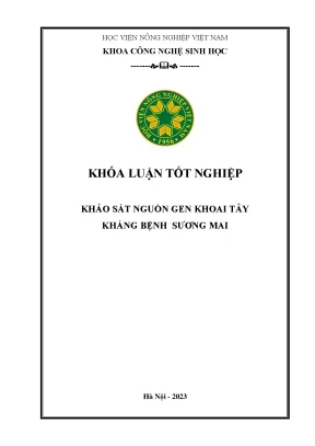 Khảo sát nguồn gen khoai tây kháng bệnh sương mai