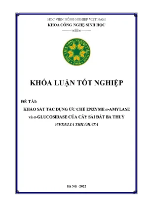 Khảo sát tác dụng ức chế enzyme α amylase và α glucosidase của cây sài đất ba thùy wedelia trilobata