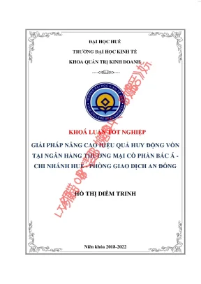 Giải pháp nâng cao hiệu quả huy động vốn của ngân hàng thương mại cổ phần bắc á chi nhánh huế phòng giao dịch an đông