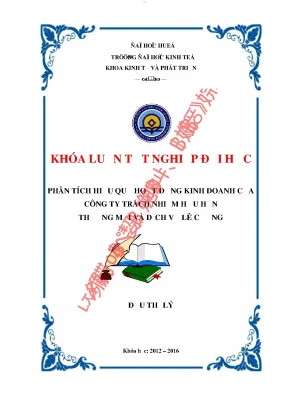 Phân tích hiệu quả hoạt động kinh doanh của công ty trách nhiệm hữu hạn thương mại và dịch vụ lê cường