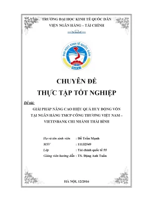 Chuyên đề thực tập giải pháp nâng cao hiệu quả huy động vốn tại ngân hàng thương mại cổ phần công thương việt nam vietinbank chi nhánh thái bình
