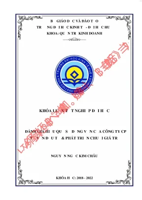 Giải pháp nâng cao hiệu quả sử dụng vốn tại công ty cổ phần tư vấn và đầu tư phát triển chuỗi giá trị