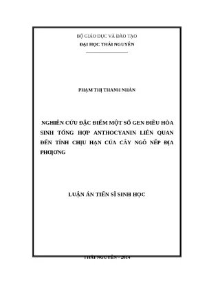 0974 nghiên cứu đặc điểm một số gen điều hoà sinh tổng hợp anthocyanin liên quan đến tính chịu hạn của cây ngô nếp địa phương luận văn tốt nghiệp