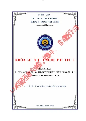 Kế toán công nợ và phân tích tình hình công nợ tại công ty trang vân