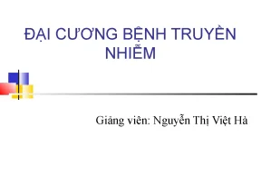 Dung287 1569