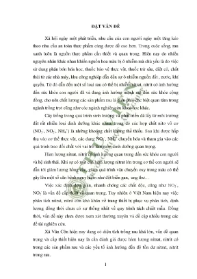 Nghiên cứu hàm lượng nitrat nitrit tồn dư trong đất nước và một số loại rau tại xã vân côn huyện hoài đức thành phố hà nội