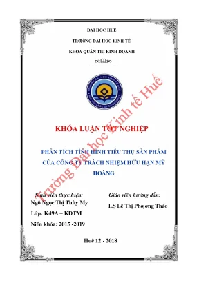 Phân tích tình hình tiêu thụ sản phẩm của công ty trách nhiệm hữu hạn mỹ hoàng