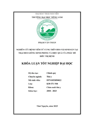 Nghiên cứu bệnh viêm tử cung trên heo nái sinh sản tại trại heo giống minh phong và hiệu quả của phác đồ điều trị bệnh