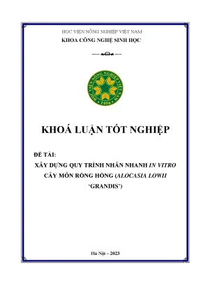 Xây dựng quy trình nhân nhanh in vitro cây môn rồng hồng alocasia lowii grandis