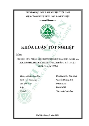 Nghiên cứu nhân giống các dòng tràm trà a32 23 và a26 218 melaleuca alternifolia bằng kỹ thuật nuôi cấy in vitro
