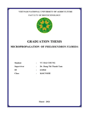 Micropropagation of philodendron florida graduation thesis