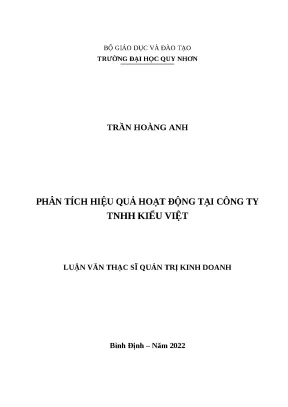0646 phân tích hiệu quả hoạt động tại công ty tnhh kiểu việt luận văn tốt nghiệp