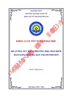 Đo lường sức khỏe thương hiệu manulife tại địa bàn thành phố huế