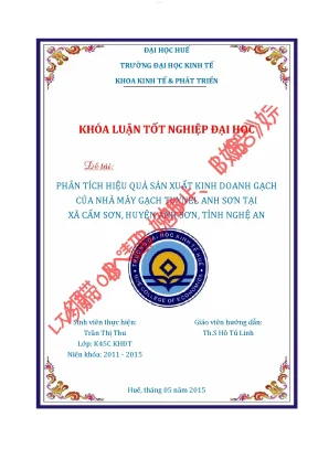 Phân tích hiệu quả sản xuất kinh doanh gạch của nhà máy gạch tuynel anh sơn tại xã cẩm sơn huyện anh sơn tỉnh nghệ an