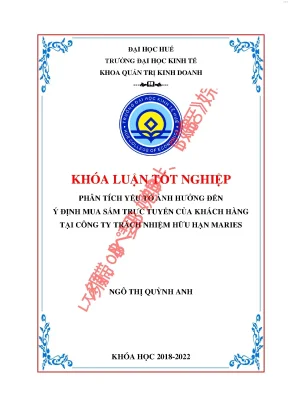 Phân tích yếu tố ảnh hưởng đến ý định mua sắm trực tuyến của khách hàng tại công ty tnhh maries