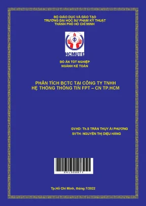 Phân tích bctc tại công ty tnhh hệ thống thông tin fpt cn tp hcm