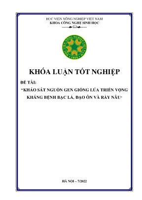 Khảo sát nguồn gen giống lúa triển vọng kháng bệnh bạc lá đạo ôn và rầy nâu