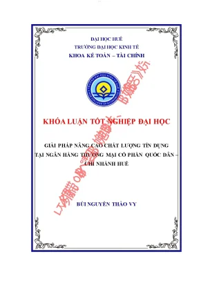 Giải pháp nâng cao chất lượng tín dụng tại ngân hàng tmcp quốc dân chi nhánh huế