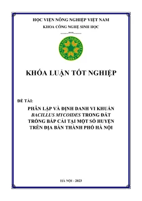 Phân lập và định danh vi khuẩn bacillus mycoides trong đất trồng bắp cải tại một số huyện trên địa bàn thành phố hà nội