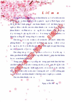 Phân tích tình hình đầu tư phát triển cơ sở hạ tầng giao thông nông thôn bằng vốn ngân sách nhà nước trên địa bàn huyện cẩm xuyên tỉnh hà tĩnh