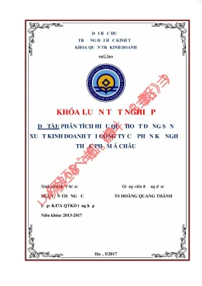 Phân tích hiệu quả hoạt động sản xuất kinh doanh tại công ty cổ phần kỹ nghệ thực phẩm á châu
