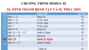Roi loan chuyen hoa nuoc dien giai roi loan thang bang kiem toan va su phuc hoi 0724