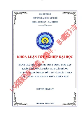 Đánh giá thực trạng hoạt động cho vay khách hàng cá nhân tại ngân hàng thương mại cổ phần đầu tư và phát triển chi nhánh thừa thiên huế
