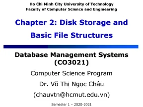 Dbms chapter 2 storage and file structures