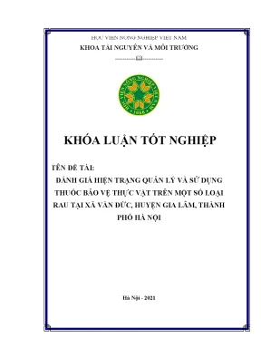 Đánh giá hiện trạng quản lý và sử dụng thuốc bảo vệ thực vật trên một số loại rau tại xã văn đức huyện gia lâm thành phố hà nội