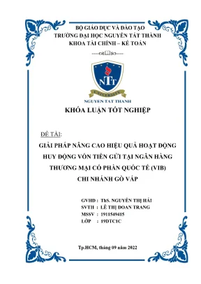 Giải pháp nâng cao hiệu quả hoạt động huy động vốn tiền gửi tại ngân hàng thương mại cổ phần quốc tế vib chi nhánh gò vấp