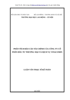 2 1 mẫu luận văn thạc sĩ phân tích báo cáo tài chính công ty cổ phần 1