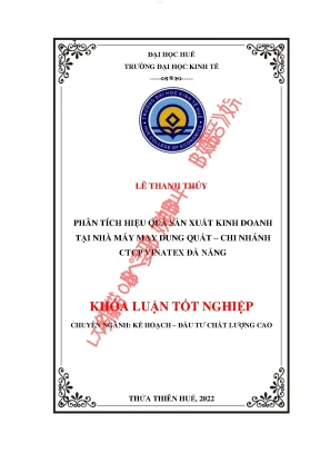 Phân tích hiệu quả sản xuất kinh doanh tại nhà máy may dung quất chi nhánh ctcp vinatex đà nẵng