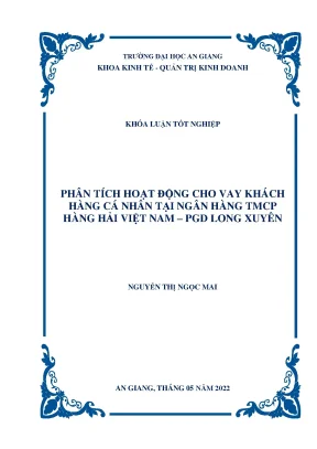 Phân tích hoạt động cho vay khách hàng cá nhân tại ngân hàng tmcp hàng hải việt nam pgd long xuyên