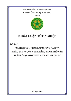 Nghiên cứu phân lập chủng nấm và khảo sát nguồn gen kháng bệnh khô vằn trên lúa rhizoctonia solani oryzae
