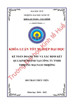 Kế toán doanh thu và xác định kết quả kinh doanh tại công ty tnhh thương mại nam trường