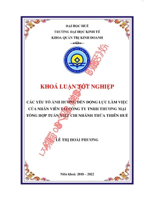 Các yếu tố ảnh hưởng đến động lực làm việc của nhân viên tại công ty tnhh thương mại tổng hợp tuấn việt chi nhánh thừa thiên huế