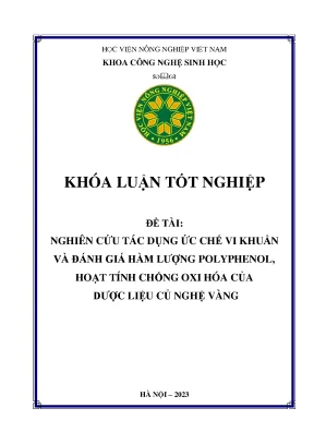 Nghiên cứu tác dụng ức chế vi khuẩn và đánh giá hàm lượng polyphenol hoạt tính chống oxy hóa của dược liệu củ nghệ vàng