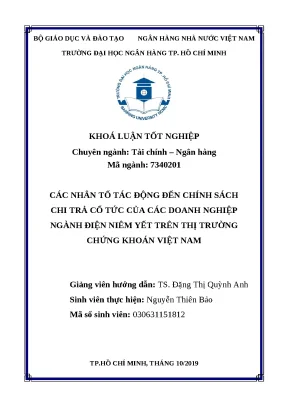 70 các nhân tố tác động đến chính sách chi trả cổ tức của các doanh nghiệp ngành điện niêm yết trên thị trường chứng khoán vn khóa luận đại học chuyên ngành tcnh 2023
