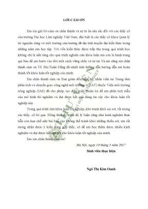 Đánh giá khả năng xử lý ô nhiễm chì trong đất bằng cây thơm ổi lantana camara tại làng nghề tái chế chì đông mai chỉ đạo văn lâm hưng yên