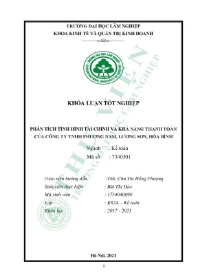 Phân tích tình hình tài chính và khả năng thanh toán của công ty tnhh phương nam lương sơn hòa bình