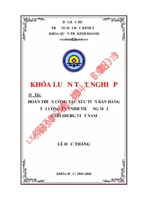 Hoàn thiện công tác xúc tiến bán hàng tại công ty tnhh tm carlsberg việt nam trên địa bàn thành phố huế