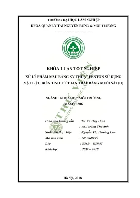 Xử lý phẩm màu bằng kỹ thuật fenton sử dụng vật liệu biến tính từ than trấu bằng muối sắtii