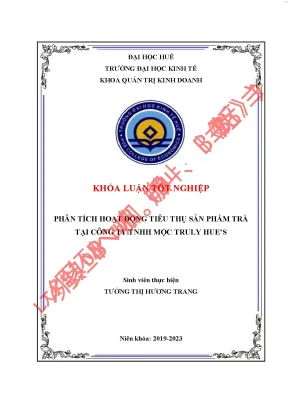 Phân tích hoạt động tiêu thụ sản phẩm trà của công ty tnhh mộc truly hues 2