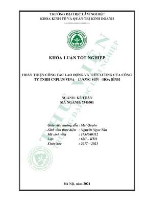 Hoàn thiện công tác lao động và tiền lương của công ty tnhh cnplus vina lương sơn hòa bình