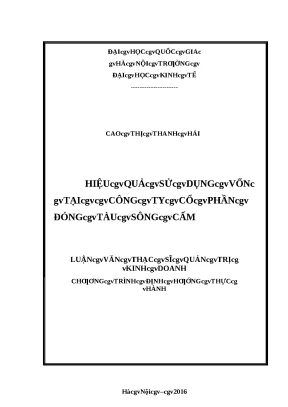 Luận văn thạc sĩ 95