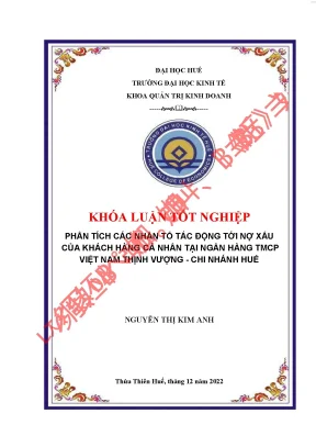 Phân tích các nhân tố tác động tới nợ xấu của khách hàng cá nhân tại ngân hàng tmcp việt nam thịnh vượng chi nhánh huế