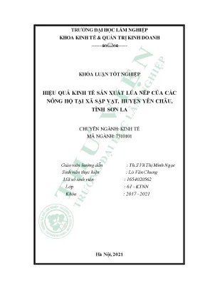 Hiệu quả kinh tế sản xuất lúa nếp của các nông hộ tại xã sặp vạt huyện yên châu tỉnh sơn la