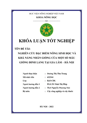 Nghiên cứu đặc điểm nông sinh học và khả năng nhân giống của một số mẫu giống đinh lăng tại gia lâm hà nội