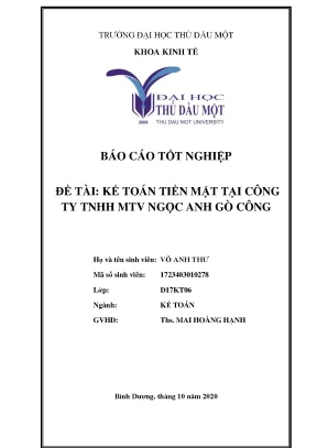 Khóa luận tốt nghiệp kế toán tiền mặt tại công ty tnhh mtv ngọc anh gò công